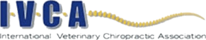IVCA logo