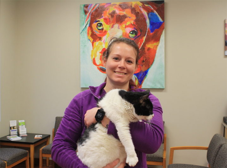 Manlius-Veterinary-Hospital-staff