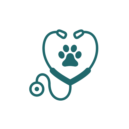 Diagnostics Icon