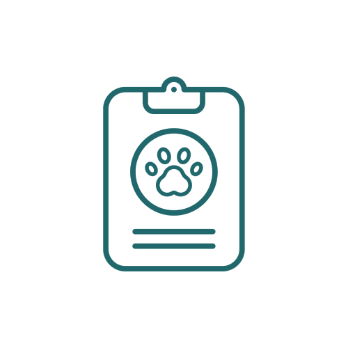 Examinations Icon