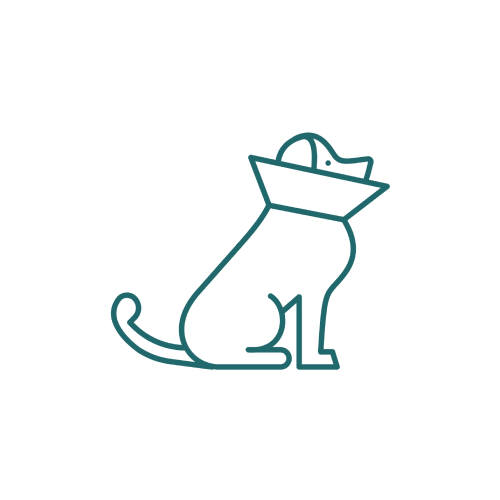 Surgery Icon