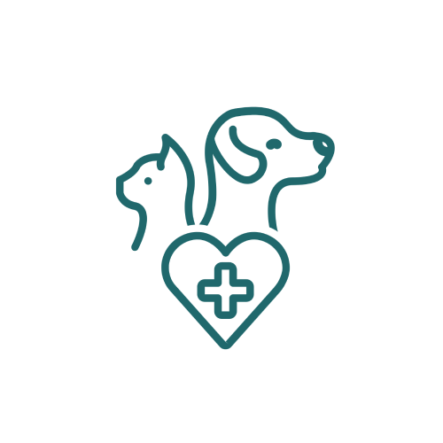 Vaccinations Icon